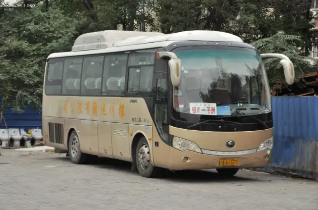 800BUS