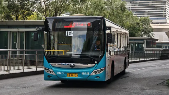 800BUS