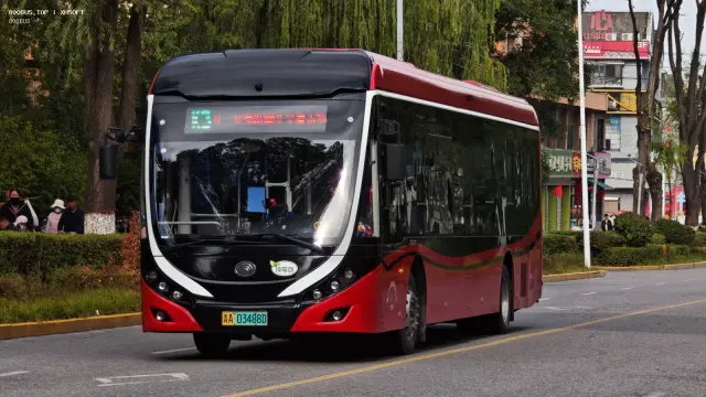 800BUS