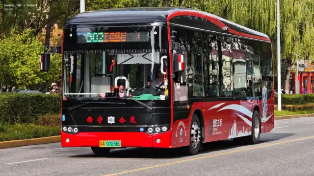800BUS