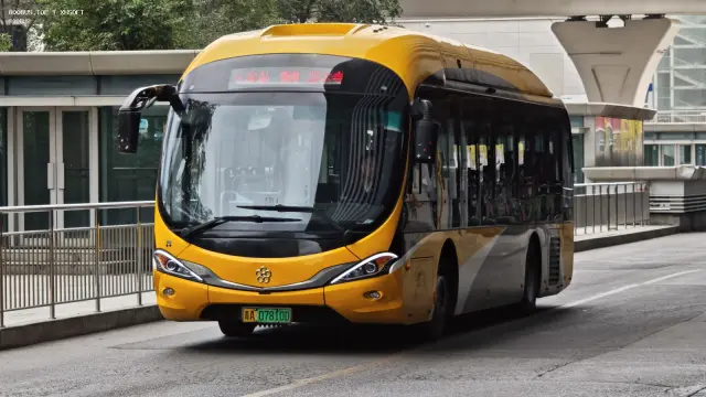 800BUS