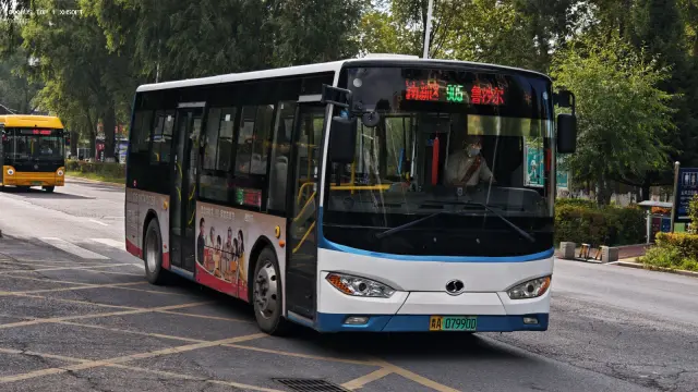 800BUS