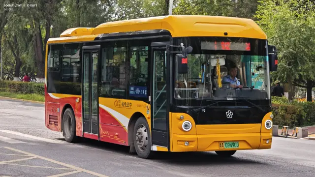 800BUS
