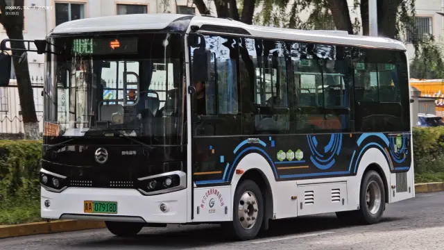 800BUS