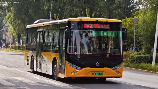 800BUS