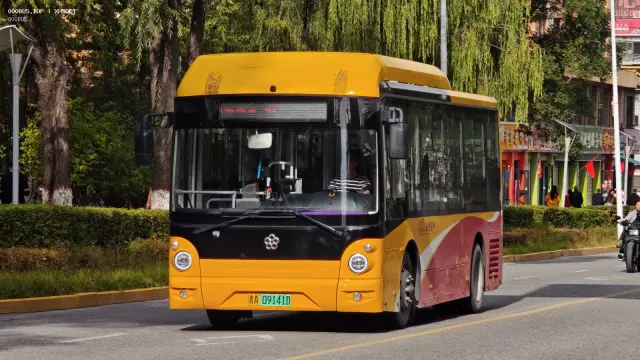 800BUS