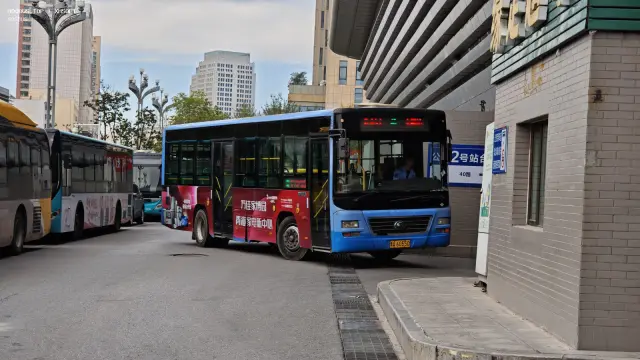 800BUS