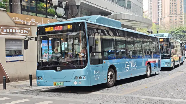 800BUS