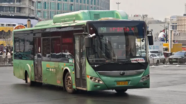 800BUS