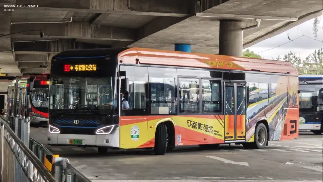 800BUS