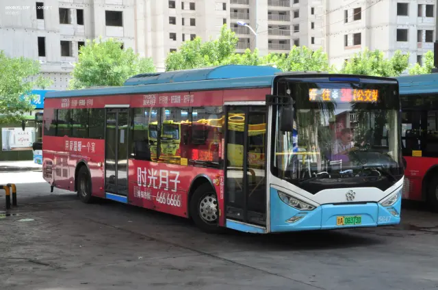 800BUS