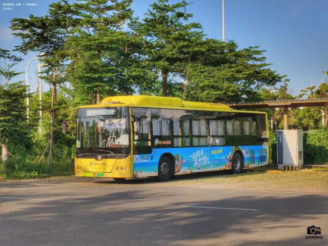 800BUS