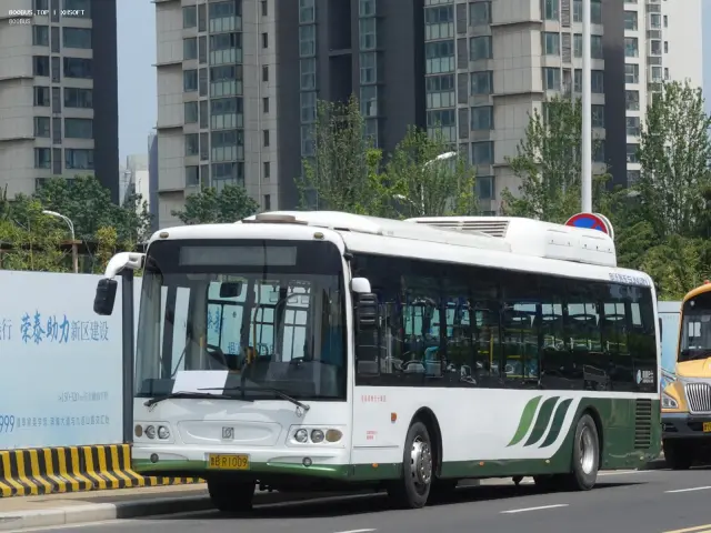 鲁B R1009