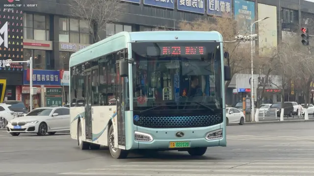 800BUS