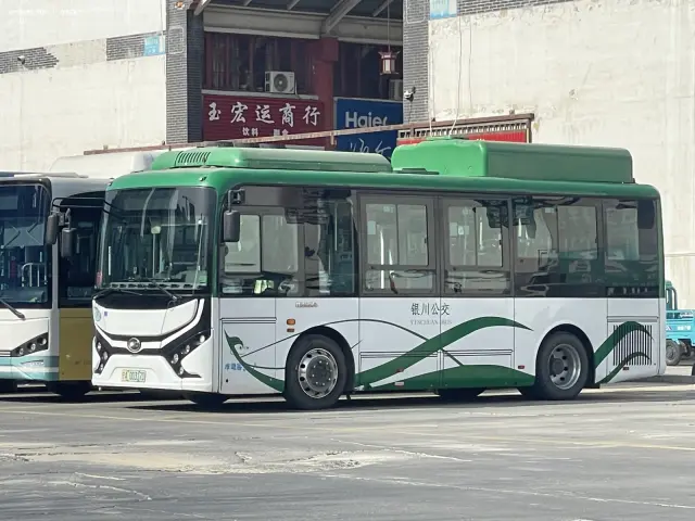 800BUS