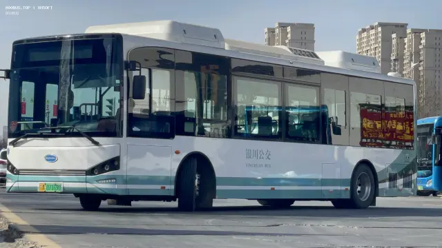 800BUS