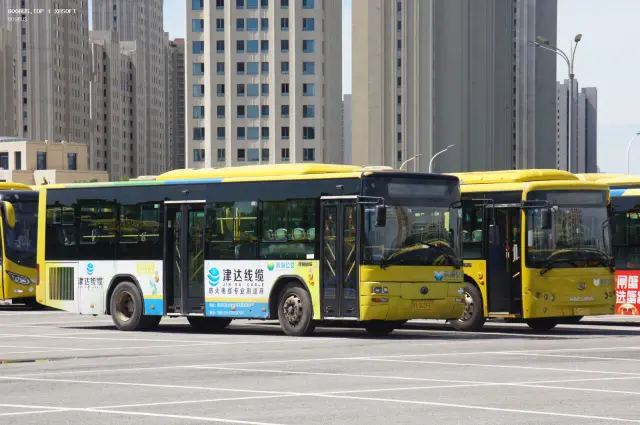 津A Q0393