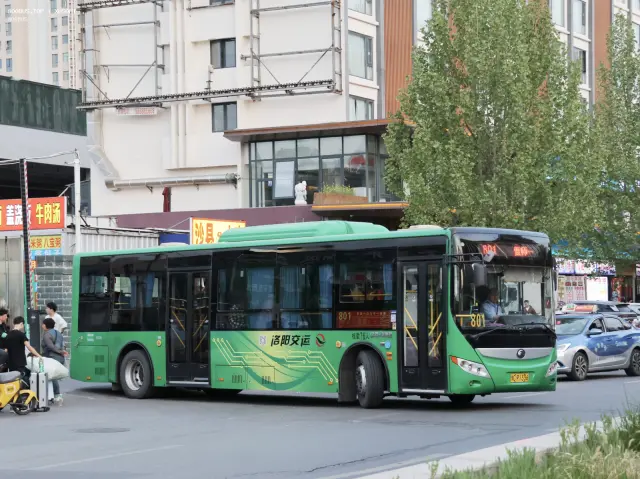 豫C P1336