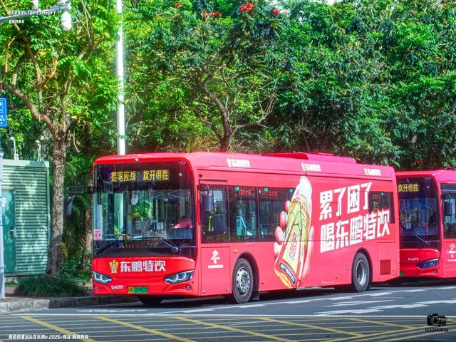 桂A 05962D