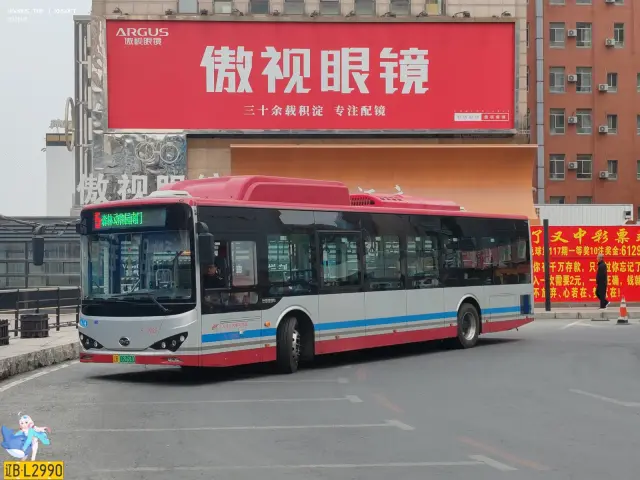 辽B 06353D