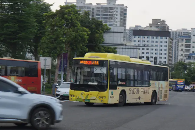 800BUS