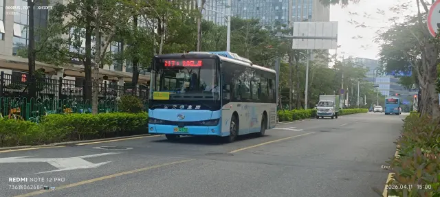 闽D·02173D
