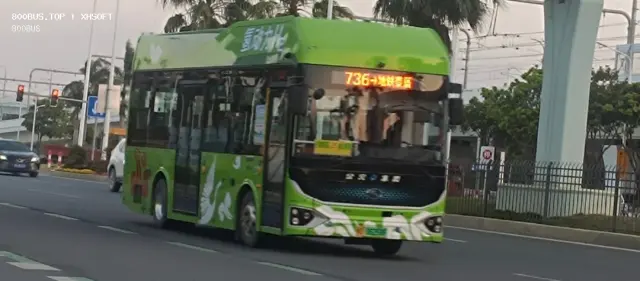 800BUS
