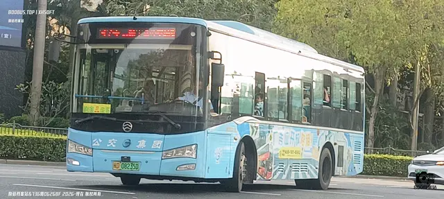 800BUS