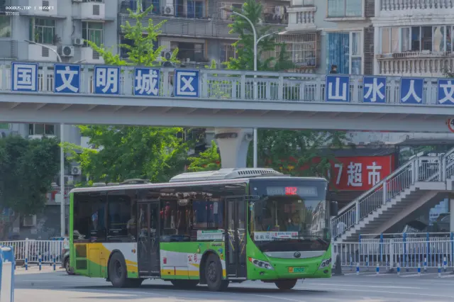 800BUS