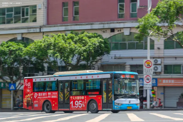 800BUS