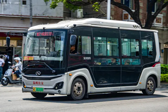 800BUS
