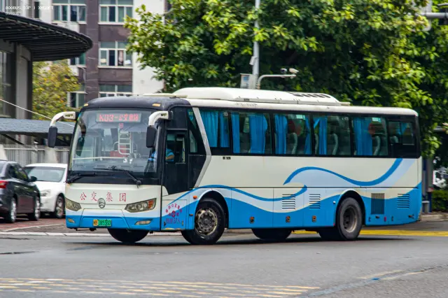 闽B 08556D