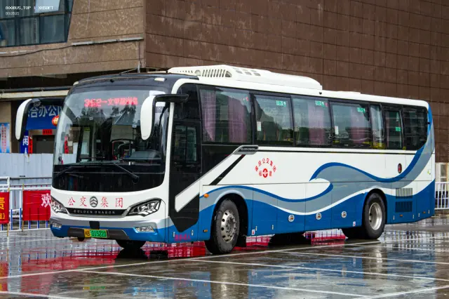 800BUS