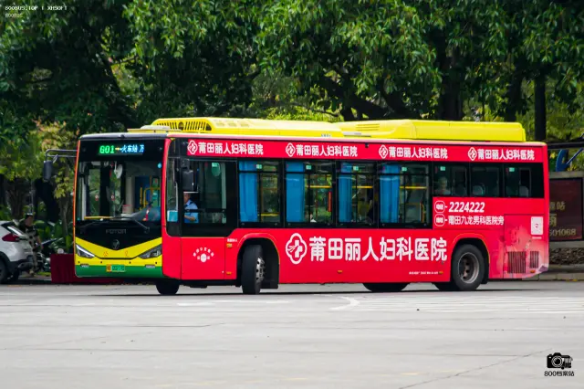 闽B 00219D