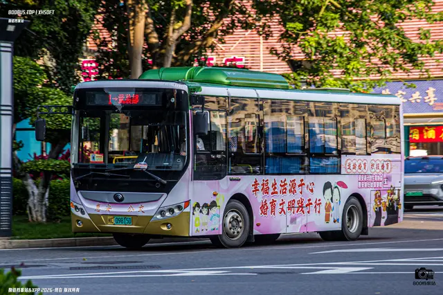 闽C 09815D