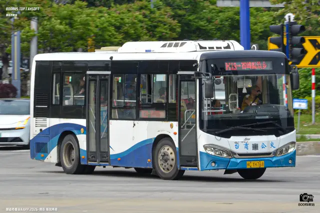 800BUS