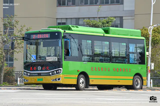闽C 09952D