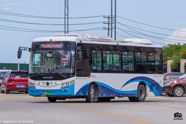 800BUS
