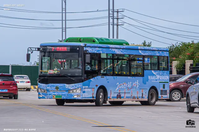 800BUS