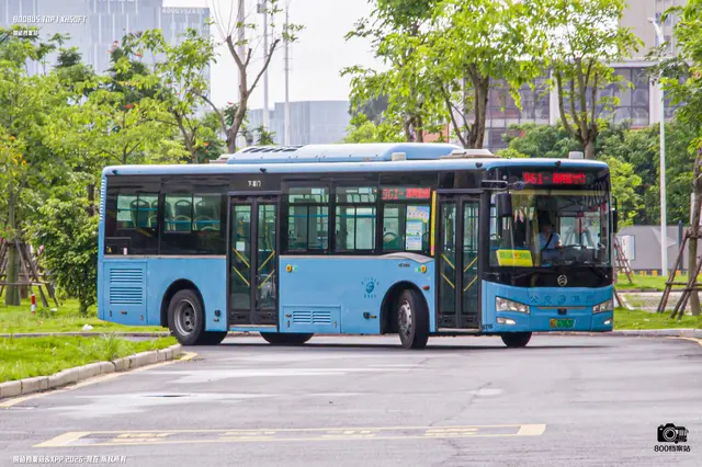 800BUS