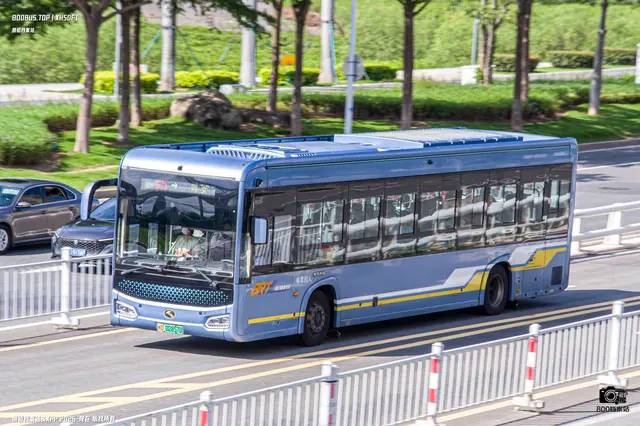 800BUS