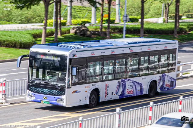 800BUS