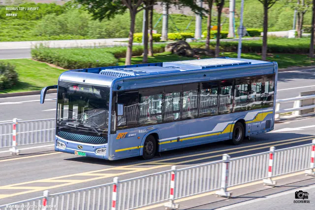 800BUS