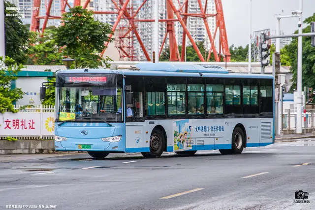800BUS