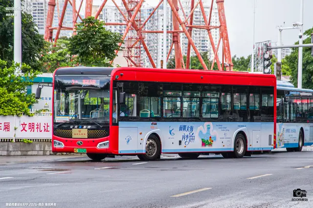 800BUS