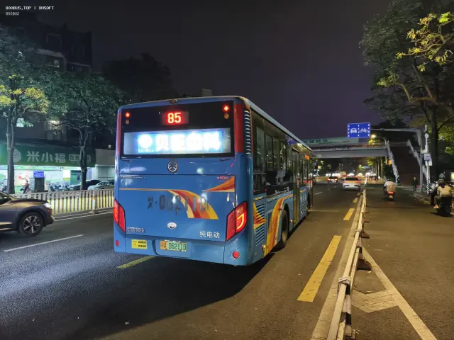 800BUS