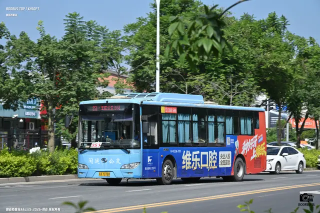 800BUS