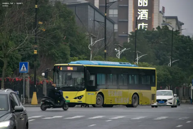 800BUS