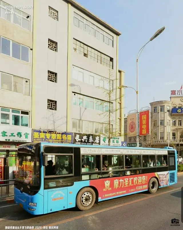 辽C B2539
