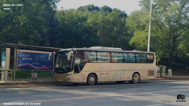 800BUS